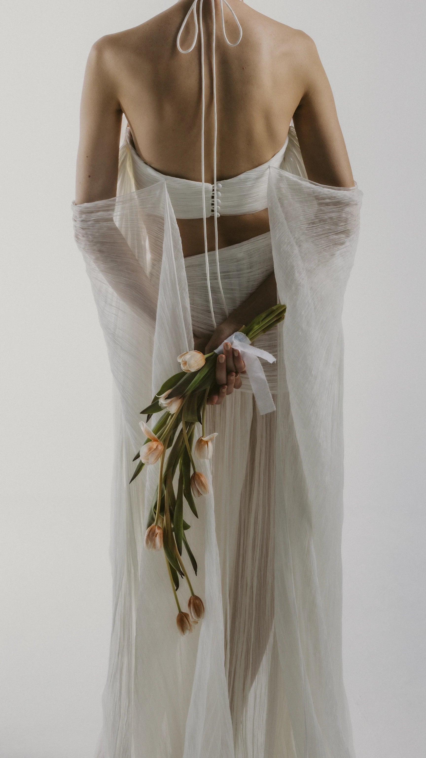 Conjunto Venus